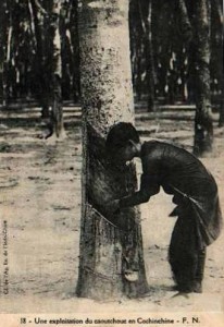 Rubber tapping - extraction of latex from rubber trees - in colonial Indochina