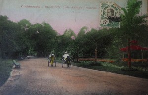 JARDIN BOTANIQUE PROMENADE POUSSE POUSSE