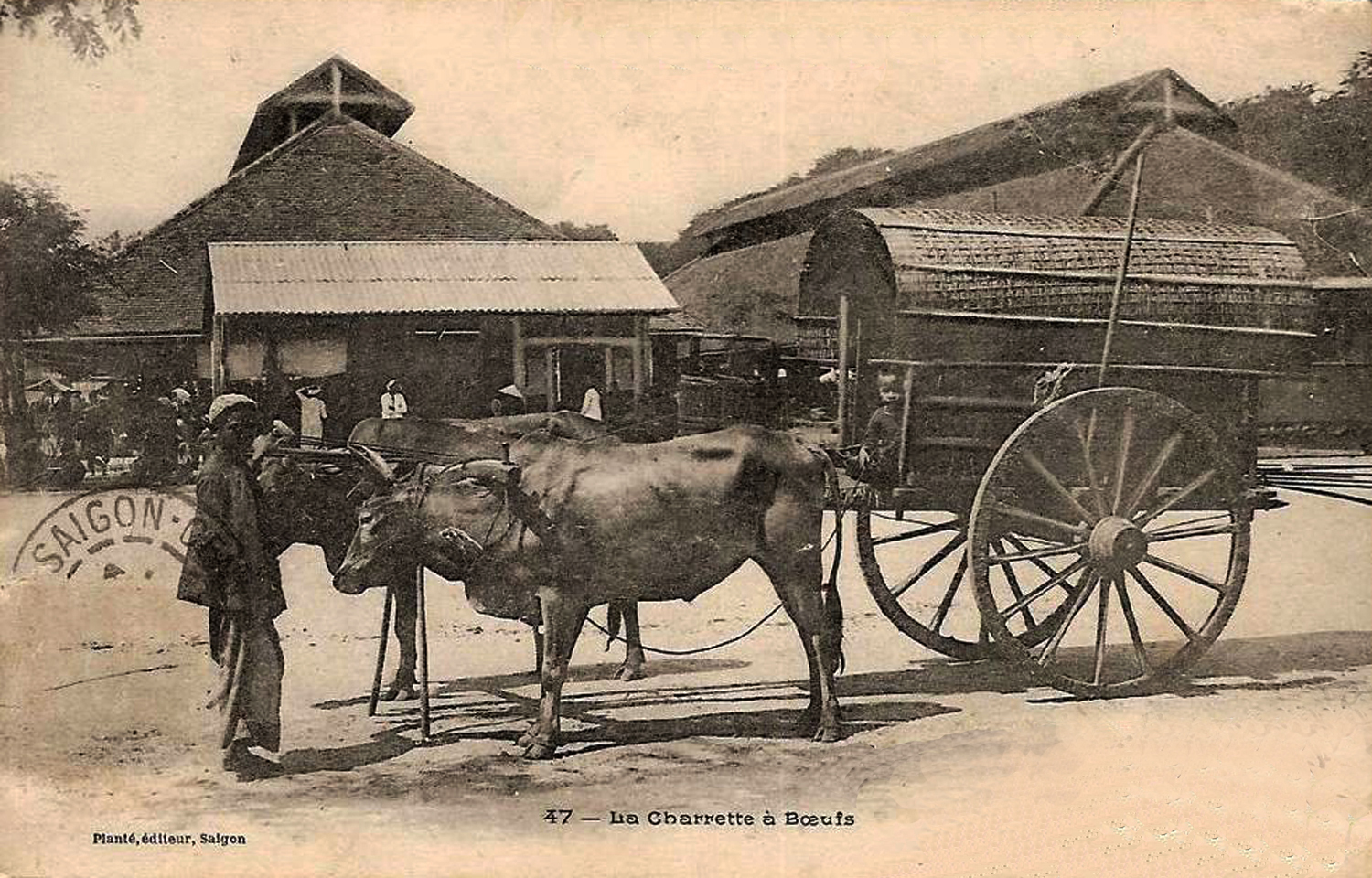 Buffalo cart and Charner market i