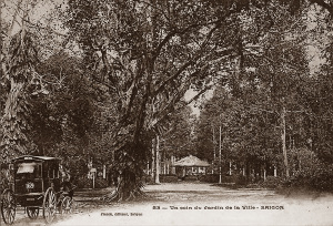 Saigon - Un coin du Jardin de la Ville