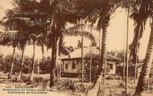 KHA NHOI - Plantation de Cocotiers et Habitation de Colon
